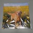 4 x 2026 Calendar, Wall Calendar 2026, Dogs 12 Month Wall Calendars (Jan - Dec 2026) 12" x 24" Opened, Hanging Monthly Calendar Thick Paper for Kids Family Adults Office Home