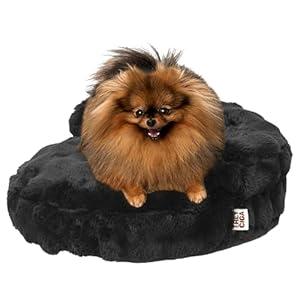 EHEYCIGA Soft Cat Couch Bed for Indoor Cats, Fluffy Extra Small Dog Bed with Removable Washable Cover, Bolster Pet Sofa, Waterproof and Non-Slip, 20" x 20"x 6.5", Black