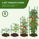 4PCS Tomato Cages for Garden, Tomato Trellis for Raised Garden Bed, 51.2" Tall Cage Plant Support for Pots, Gardening Supplies Trellis for Climbing Plants (4PCSHigh: 51.2 Inch)