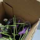 24'' Tall Faux Lily Turf (Liriope Muscari), Realistic Ornamental Grass with Small Violet-Purple Flowers (6 Pack)