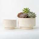Succulent Pots, 8 Inch + 6 Inch Plant Pots for Plants with Drainage Hole, Indoor Outdoor Ceramic Planter, Set of 2 Round Flower Pots for Succulent and Plants, Beige