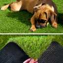 Artificial Grass Fake Grass Astroturf Turf Grass Outdoor Rug
4FTx6FT(24 Square FT) Pet Turf with Drain Holes Realistic 1.38"