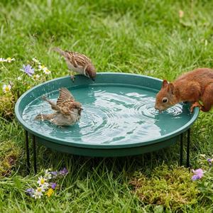 14.37 Ground Level Bird Bath for Outside Floor Standing Large Bird Bath for Patio Garden or Deck Black Steel Wire Stand with Dish Outdoor Feeder Water Bowl (Green)