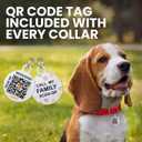 BRONZEDOG Rolled Leather Dog Collar for Small Medium Large Dogs with QR ID Tag (M: 14-16 Inch, Teal)