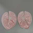 Momcozy Larger Breast Therapy Packs, Hot and Cold Breast Pads with 2 Soft Covers, Breastfeeding Essentials，2 Pack，Pink