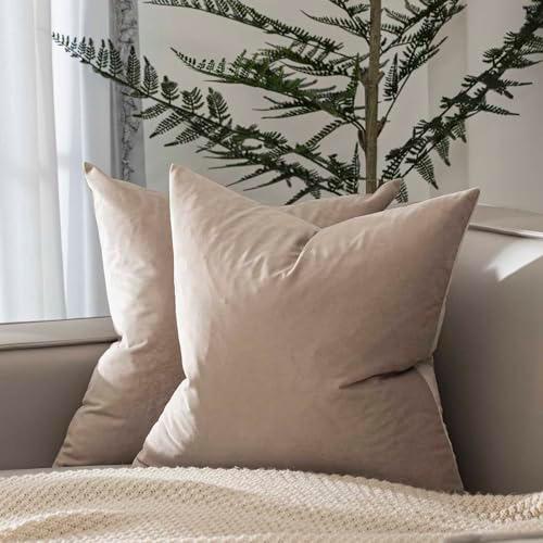 JUSPURBET Throw Pillow Covers Set of 1Decorative Velvet Pillow Covers for Couch Sofa Bed Soft Cushion Covers Cases with Invisible Zipper for Living Room Home Decor 24x24 inch,Cloud