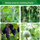 65"×50" Cucumber Trellis for Raised Bed,Tall Metal Arch Garden Trellis for Climbing Plants Outdoor,Vegetables,Plant Support Peas,Fruit,Flower,Grape,Tomato, Bean