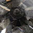 LEDIARY 26 inch Fandelier Caged Ceiling Fan with Light and Remote, Black