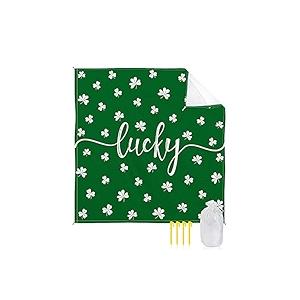 St Patrick's Day Pillow Covers 17x17 Green Buffalo Plaid Set of 1 Irish Truck