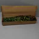 Ttranewsoo Artificial Greenery Stems, 43.3" Nandina Branches Tall Faux Plant Stems for Vase, Greenery Decor Stems Leaves Bunches for Shop Garden Office Home Décor,2Pcs