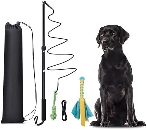 KOXXUD Flirt Pole Dogs, Dog Chase Toy with Squeakers Inside, Dog Fishing Pole Toy for Large Medium Small Dogs to Keep The Puppy Entertained and Physically Exhausted, Rope+Ball