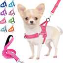 Lukovee No Pull Dog Harness and Leash Set, Soft Padded Small Dog Harness, Neck & Chest Adjustable Reflective Vest Puppy Harness with 4ft Lightweight Anti-Twist Dog Leash for Small Dogs (XXS, Pink) (