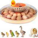Nest II - 30 Egg Incubator for Large-Batch Hatchers, Hands-On Control, Auto Egg Turning, Manual Water Fill, Consistent Temp, Real-Time Display, Candler for Chicken, Goose, Duck, Quail, Pigeon, Turkey