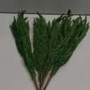 8 PCS 18 Inches Artificial Christmas Norfolk Pine Branch, Natural Touch Norfolk Faux Greenery Pine Stems, Fake Norfolk Picks Christmas Decoratoins for Vase DIY Garland Wreath Xmas Indoor Home Decor