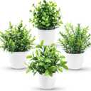 Der Rose Faux Plants Indoor, 4 Pack Small Fake Plants Mini Artificial Plants in Pots for Home Office Shelf Farmhouse Bathroom Decor (Green)