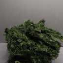 Christmas Garland with Dual Color 50 LED Lights 9 Ft, Prelit Xmas Garland with Cypress Leaf, Timer by Remote Control and Batteries Operated for Mantle Staircase Indoor and Outdoor (Green PVC 9FT)