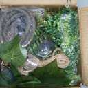 Bearded Dragon Tank Accessories, Reptile Mat Hammock Plants Bridge Jungle Climber Vines Terrarium Decorations for Leopard Gecko, Hermit Crab Lizard Snake (9 PCS Without Reptile Mat)