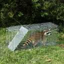 Humane Way Folding 32 Inch Live Humane Animal Trap - Safe Traps for All Animals - Raccoons, Cats, Groundhogs, Opossums - 32" L x 10.2" W x 12.2" H