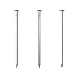 Nickel Plated 4 Inch Hanging Nails - 25pcs, Ideal for Wall & Wood, Long Nails