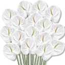 Hanaive 20 Pcs Artificial Anthurium Flowers, White, 23.6 Inch
Faux Anthurium Flowers for Wedding Vase DIY Bouquets Table Centerpiece Arrangements Bridal Shower Party Home Decor