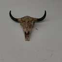Western Cow Skull Wall-Decor - 12.2Long Realistic Animal Head Wall Hanging Art Boho Cross Steer Bison Buffalo Bull Cow Horned Skull Home Wall Decor