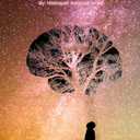 The Mindset of a Leader: Program Yourself, Paperback