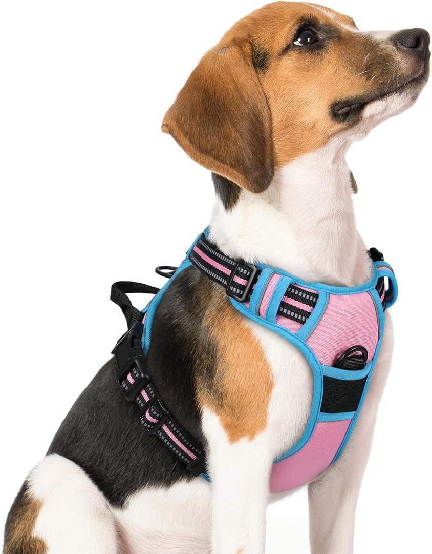 rabbitgoo Dog Harness No Pull with 2 Leash Clips, Adjustable Soft Padded, Reflective Oxford No Choke Pet Vest with Easy Control Handle for Medium Sized Dogs, Pink & Blue, Size M