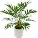 Artificial Palm Tree Plant, Potted Artificial Plant for Home Office Decoration, 12" Tall, Ships in White Ceramic Planter