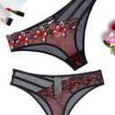 Avidlove Sexy Panties for Women Butterfly Embroidered Underwear Mesh Panties Pack (Medium)
