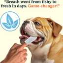 Jasper Dog Dental Wipes, Vet-Recommended All-Natural Finger Toothbrush Wipes for Dogs, Fresh Breath & Tartar Control in Seconds  No Brush and Toothpaste Needed, Coconut, 60 Count