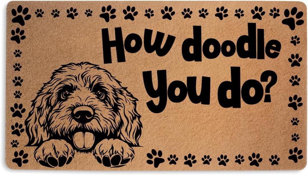 Funny Doodle Door Mat 18x30 Inch, Faux Coco Coir Doormat with Non-Slip PVC Backing, Doodle Printed Welcome Mat for Outdoor Indoor Entryway Porch Home, Dog Lover Gifts for Women, How Doodle You Do (Multicolour 0347)