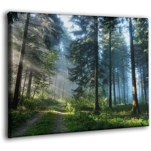 Sunrise Forest Wall Art Green Tree Pictures for Wall Landscape Canvas Print Modern Artwork Framed Nature Wall Decor for Living Room Bedroom Kitchen Office (Forest, 12x16 inch)