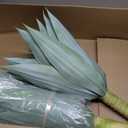 Velener Artificial Outdoor Blue Agave Plant - Small Size UV Resistant Fake Agave Plants for Indoor and Outdoor Decor(28 Inch)-2 Pack