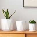Octagon Ceramic Plant Pots - Indoor White Flower Planter Set with Drainage Holes, 6.7/5.5/4.7 Inch, Modern Decorative Planter Outdoor for Succulents Snakes and Herb (Set of 3)
