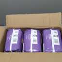 Amazon Basics Incontinence Underwear for Women, Protective, Disposable, Postpartum, Maximum Absorbency, X-Large, Lavender, 48 Count (3 Packs of 16)