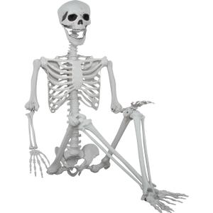 5.9ft Halloween Life Size Skeleton Realistic Full Body Skeletons Plastic Human Bones with Movable Joints for Halloween Props Spooky Party Decoration