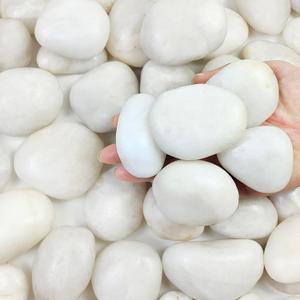 40 Pounds Large White River Rocks for Outdoor Landscaping, 2-3 Inch Natural White Stones for Planters, Polished Decorative Pebbles for Indoor Plants Vase, Aquarium and Garden Rocks