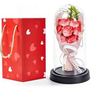 Preserved Flower Rose Gift for Women Mother's Day Birthday Gifts for Mom Wife Grandma Light Up Rose in A Glass Dome Gifts for Her Valentine Day Thanksgiving Pink