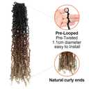 Yanky Twist Crochet Hair 12 Inch 10 Packs Pre-Twisted 3 Tones Ombre Brown Yankee Twist Micro Passion Twist for Black Women(OT30/27, Total 200 Strands)