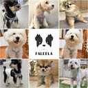 Faleela No-Pull Puppy Harness & Leash Set - 7 Color Options, Soft, Adjustable, Choke-Free, Escape-Proof, Lightweight Cute Pet Vest for Small & Medium Dogs (Blue+Red, M)