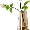 FANTESTICRYAN Modern Glass Vase Irised Crystal Clear Glass Vase for Home Office Decor (Crystal Amber) (8.7x 2.5)