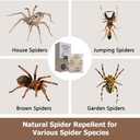 15 Pack Powerful Spider Repellent Indoor Protection for Your Home, Made with Natural Ingredients, Long-Lasting Indoor & Outdoor Spider Control for Home, Garage, Basement, and More, Safe & Easy to Use