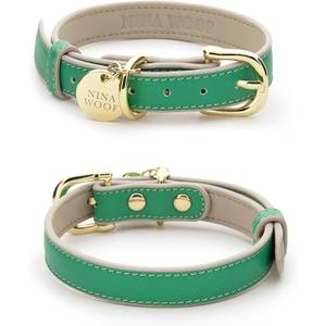 Rio Vegan Leather Dog Collar - Padded Luxury Dog Collar with Adjustable Buckle - Collar for Dogs, Dog Collar for Small Dogs to Dog Collar for Large Dogs - Color Green (Extra Small) (XS: 9 - 12" Neck)