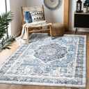 Area Rug 57, Vintage Boho Rug,Ultra-Soft Low Pile, Washable, Non Slip,Stain Resistant Printed Carpet for Living Room Bedrooms Playroom Office Kitchen, Light Blue