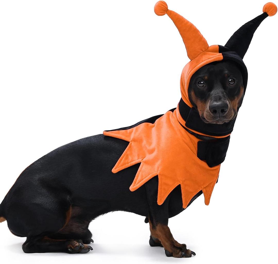 Lelepet Dog Halloween Costume with Hat & Cloak, Funny Dog Costume Pet Halloween Cosplay Outfit Party Dress Up for Trick or Treat, Holiday Clothes for Small, Medium & Large Dogs, Dachshund, Beagle, Lab