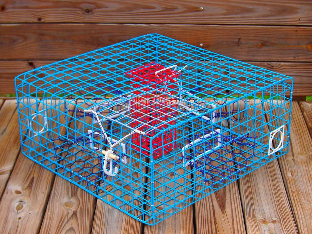 Florida Large Blue Crab Trap – 11 x 24 x 24 Recreational Blue Crab Pot – Four-Throat Saltwater Crab Trap – Heavy Duty PVC Coated Wire Fishing Trap