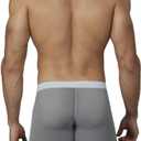 Gogobear Men's Sheer Ice Silk Boxer Briefs Sexy Super Thin Seamless Trunk Underwear Bulge Pouch Panties (S)