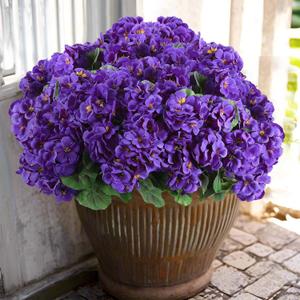 Hananona Artificial Geranium Flowers for Outdoors Geranium Silk Flowers Outdoor UV Resistant Garden Plants Faux Flowers for Home Kitchen Table Centerpieces Decor (6, Purple)