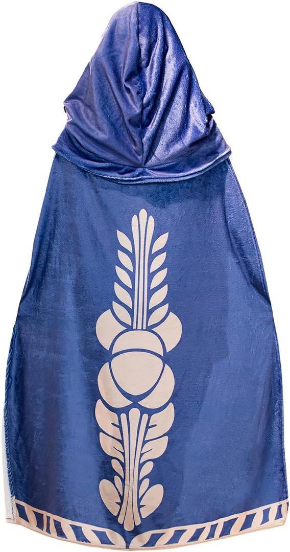 Princess Hyrulelu Velvet Cosplay Hooded Long Cape Cloak Costumes Dress 66.93 Inches Blue