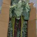 lovemoon 130 Pcs Artificial Mixed Eucalyptus Stems Bulk, 5 Kinds of Faux Greenery Eucalyptus Leaves Bulk for Vase Wedding DIY Bouquets Floral Arrangement Home Decor (130, Green)